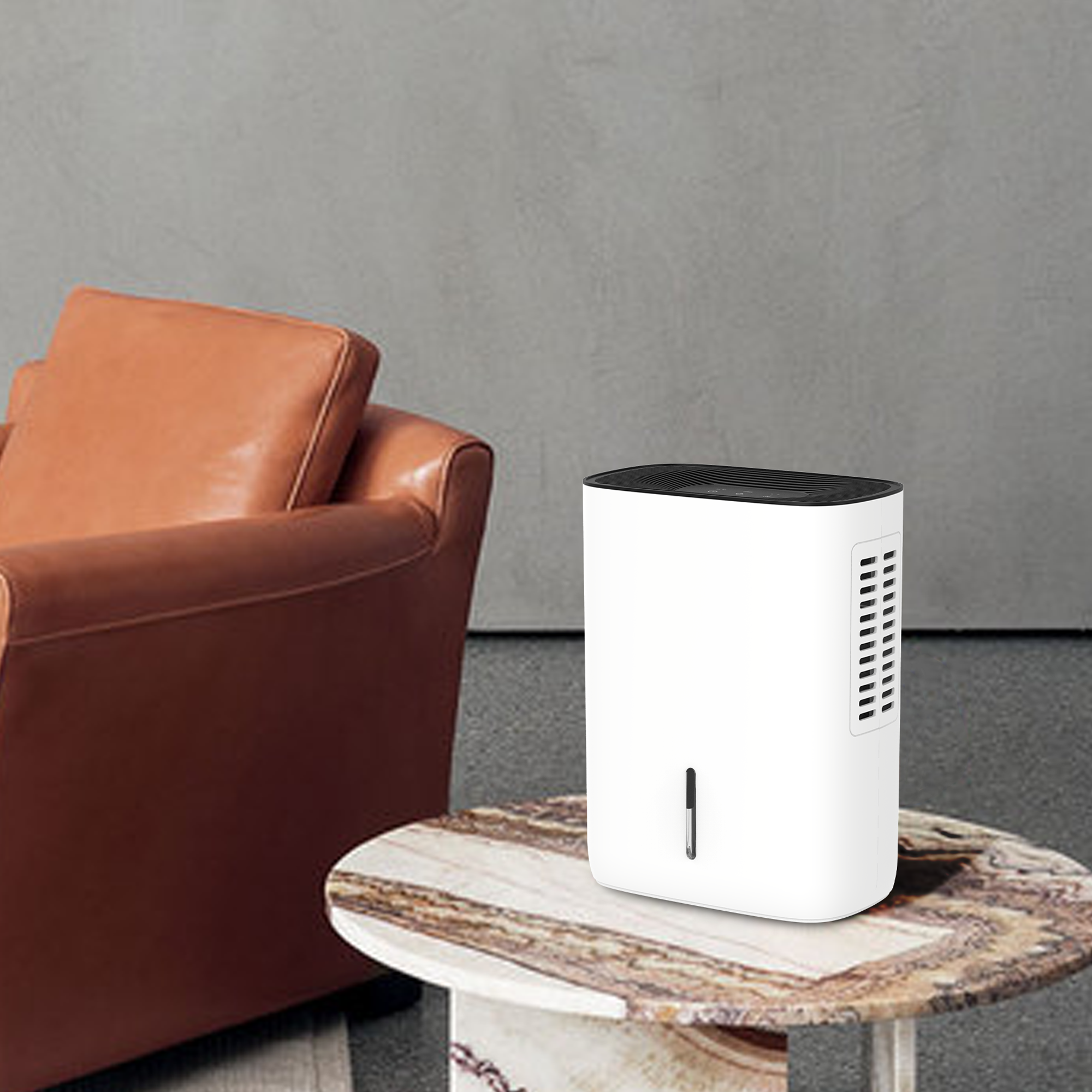 CF-5810 Dehumidifier